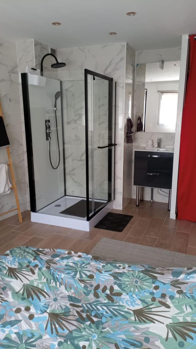 Apartament Carol California Chevigny-Saint-Sauveur Pokój zdjęcie